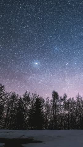 Vertical view of stars over winter forest, Astronomy time lapse