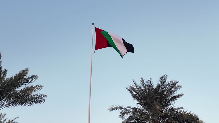 UAE flag waving in the blue sky between palm trees, national symbol of UAE. High quality 4k footage.
