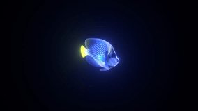 3D Holographic Neon Angelfish Infinite Loop - Powered by Shutterstock - Get 15% off with code: PIKWIZARD15