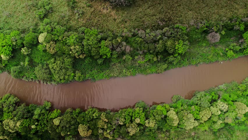 Stunning top-down view of Rio de La Plata in Punta Lara, showcasing the lush green landscapes and flowing waters near Ciudad de La Plata, Buenos Aires, Argentina.