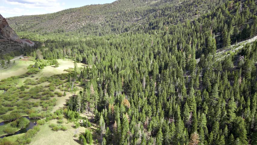 Aerial shot of a winding river running through a meadow in the Sierra Nevada Mountains in California