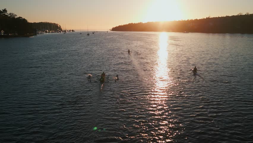 Aerial Footage Of Four Young Athletes Rowing In Eight-Oar Boats On Halifax Harbor. The Tranquil Ocean And Gorgeous Sunrise Provide A Stunning Setting For Early Morning Rowing Practice.