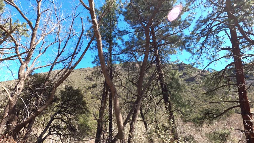 Arizona Driving 1149 Sedona Oak Creek Vista Flagstaff
