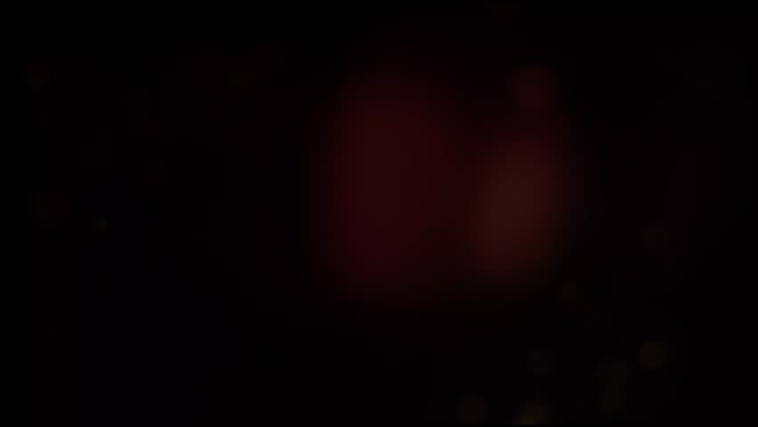 Shutterstock Video