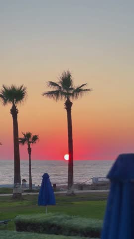Red sunset over the Mediterranean Sea in Paphos, Cyprus. Silhouetted palm trees frame the golden red sun. Perfect tropical vacation and paradise getaway concept