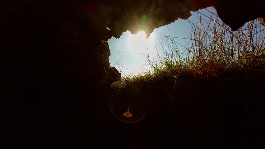 Looking out from burrow into bright sunlit field. POV animal crawling through narrow opening and observing glowing outdoors. Emerging from tunnel and seeing sunlight filtering over grass. Glimpsing