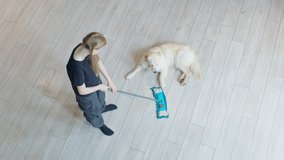 Teenage girl mopping the floor while a Golden Retriever lies nearby, curiously watching the cleaning process in a cozy home setting. High quality 4k footage - Powered by Shutterstock - Get 15% off with code: PIKWIZARD15