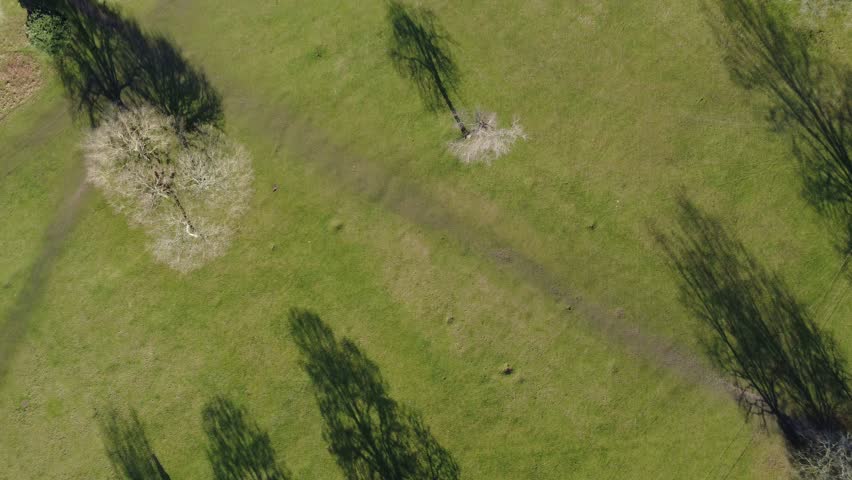 The drone aerial footage of Richmond Park in London.