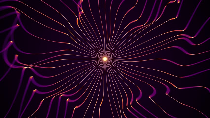 Shutterstock Video