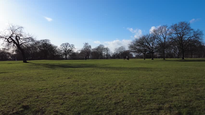 The drone aerial footage of Richmond Park in London.