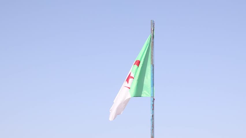 Algerian flag waving against blue sky Algeria national symbol - Powered by Shutterstock - Get 15% off with code: PIKWIZARD15
