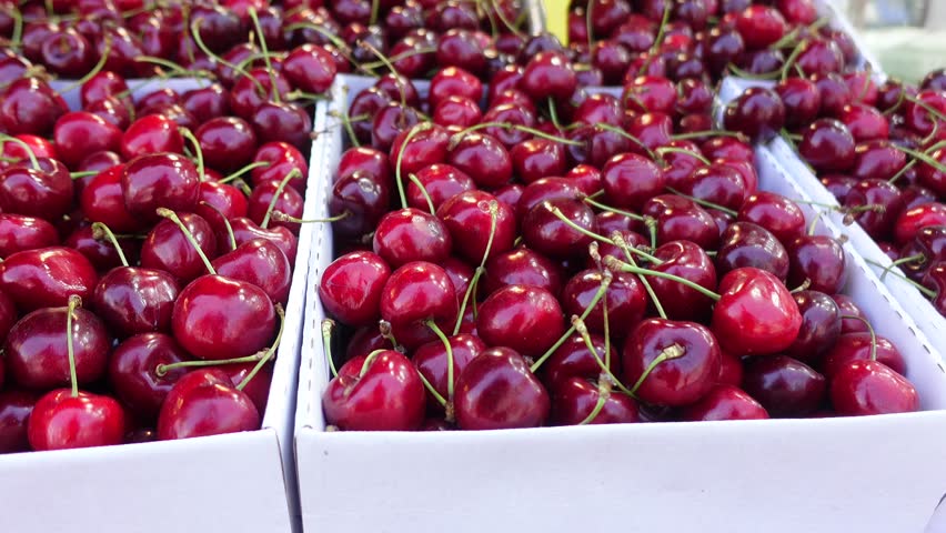ripe fresh cherry selling on super market 