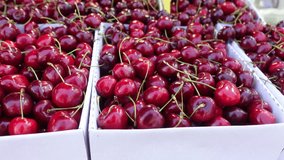 ripe fresh cherry selling on super market  - Powered by Shutterstock - Get 15% off with code: PIKWIZARD15