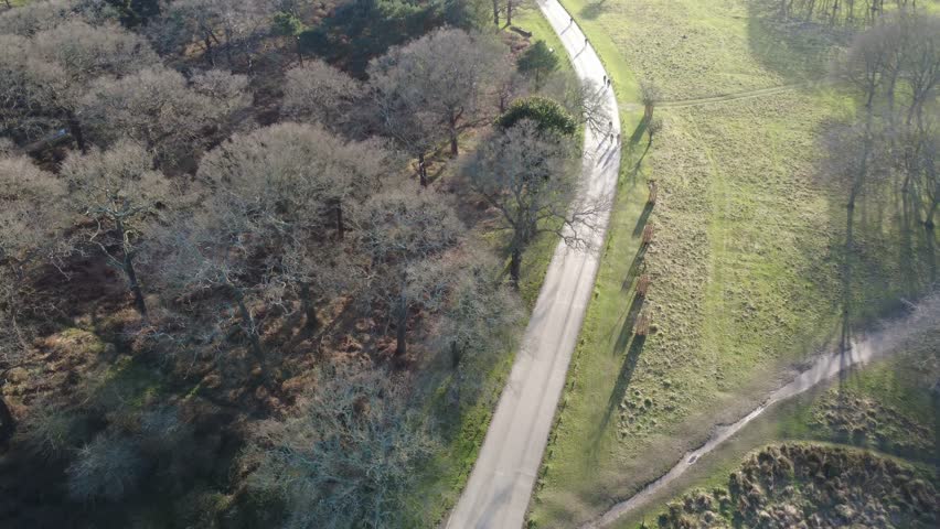 The drone aerial footage of road in Richmond Park, London.