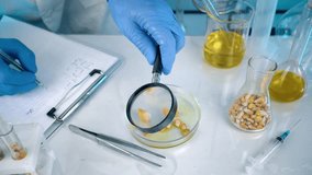 A researcher analyzes agricultural grains in a laboratory. Research into GMO cereals and beans. Testing genetically modified seeds. - Powered by Shutterstock - Get 15% off with code: PIKWIZARD15