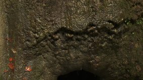Close-up of wet rock surface with autumn leaves at Nojoqui Falls, California, USA. Static view - Powered by Shutterstock - Get 15% off with code: PIKWIZARD15