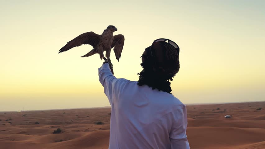 Falconer man dressed in white traditional arab attire stands in the desert holding a majestic falcon with extended wings against sunset