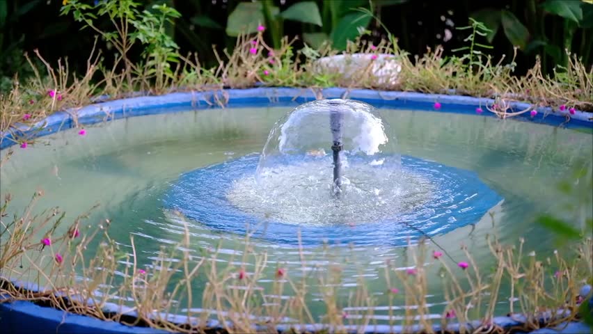 A small fountain with a beautiful curved round water shape surrounded by beautiful plants and flowers