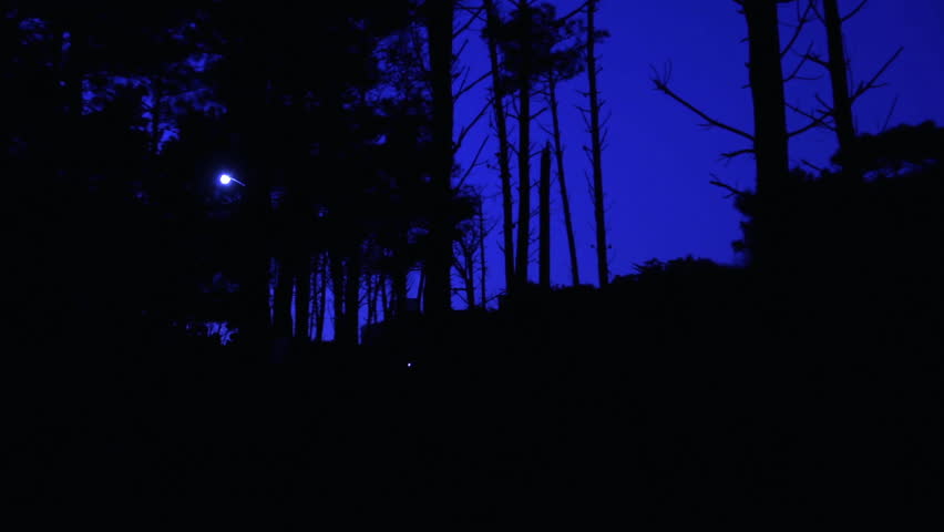 Meteorite Falling Behind Trees on a Hill While an Explorer Uses a Flashlight 