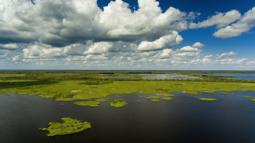 Aerial: Drone Panning Time Lapse Shot Of Green Plants On Rippled Lake During Sunny Day - Everglades National Park, Florida