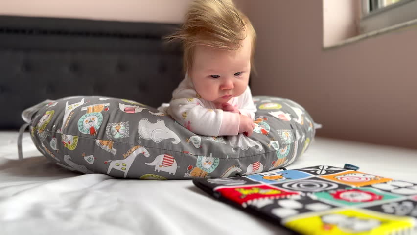 Shutterstock Video