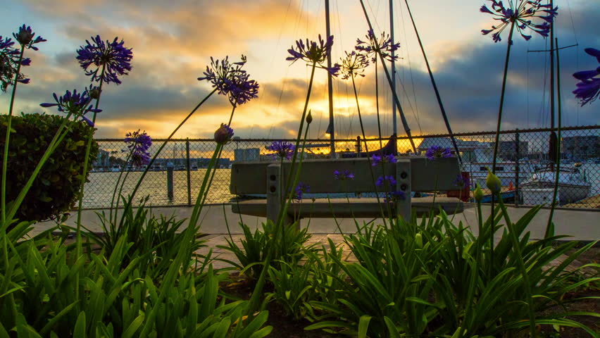 Time Lapse Scenic View Of Nautical Vessels Moving In Sea Seen From Park During Sunset - Newport, Rhode Island
