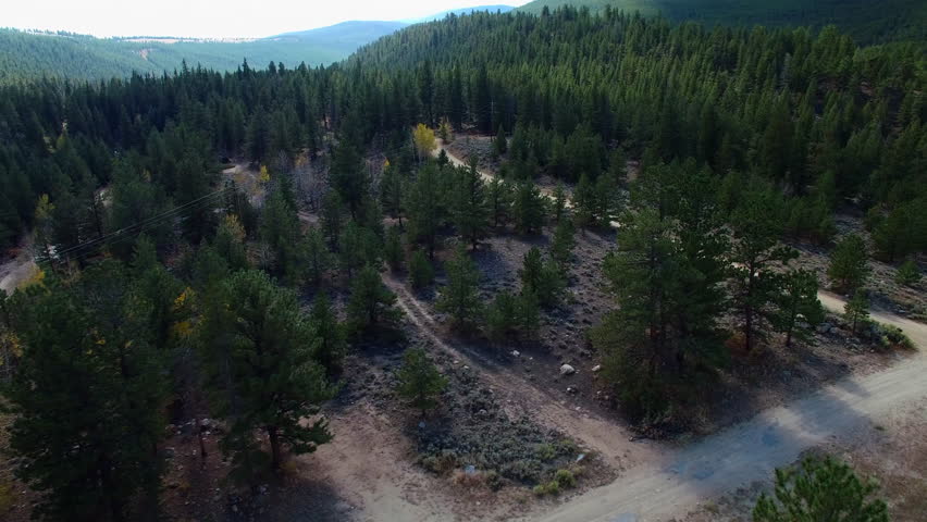Aerial Forward Shot Of Green Trees In Forest On Mountains At National Park - CO, Colorado Springs, United States of America