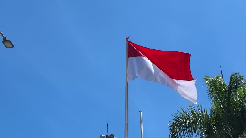 The national flag of Indonesia waving in the wind, clear blue sky, and Palm tree background.