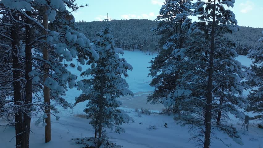 Snow Valley Evergreen Meadows Conifer Colorado aerial drone Colorado sunset blue hour winter frosted forest cold frozen deep snow December North Turkey Creek Rocky Mountain town forward pan up motion