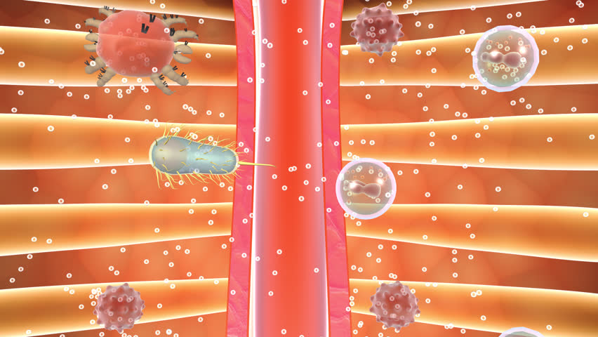 Prostatitis, medicine to kill germs and bacteria in the prostate gland, maintain reproductive system health, treat urinary system diseases, 3D rendering,alpha channel.