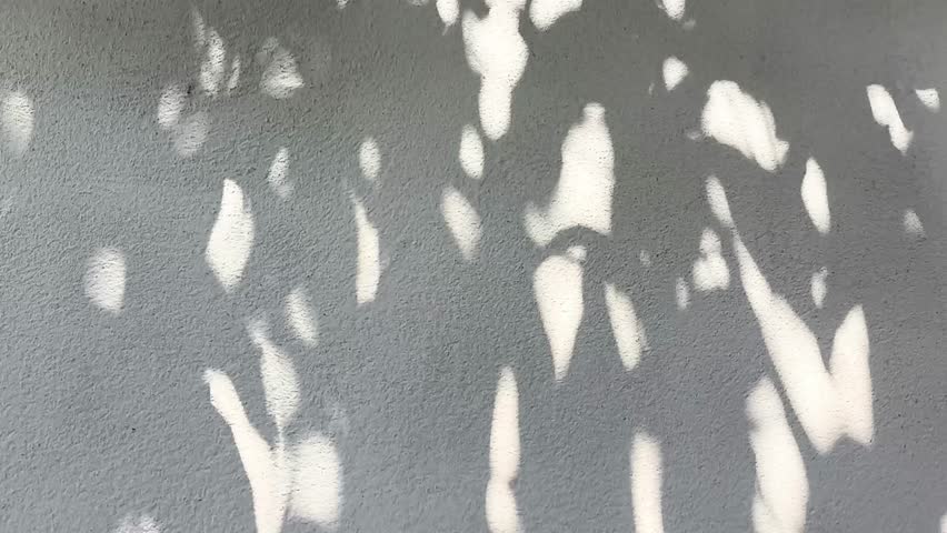 Leaves  shadow on the wall , Chiangmai province Thailand. - Powered by Shutterstock - Get 15% off with code: PIKWIZARD15