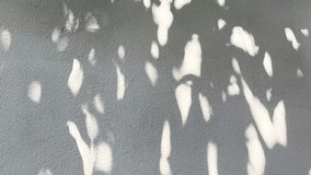 Leaves  shadow on the wall , Chiangmai province Thailand. - Powered by Shutterstock - Get 15% off with code: PIKWIZARD15