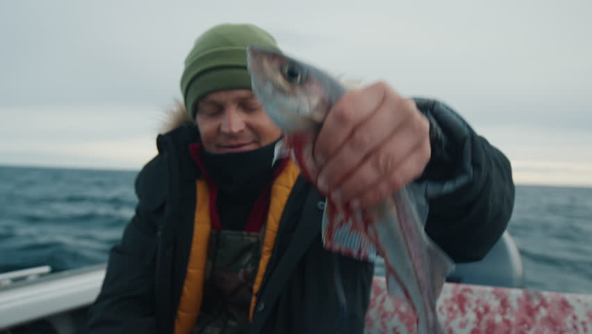 Fisherman puts freshly caught Atlantic cod inside a red container on a fishing boat