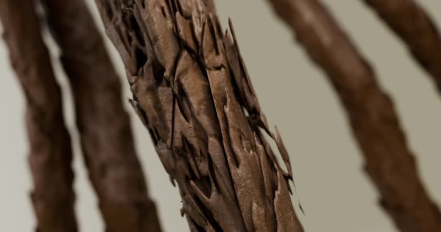 Three-dimensional abstract animation of hair damage. Hair splitting, hair tip fractures, hair loss, dryness, brittleness, and weakness