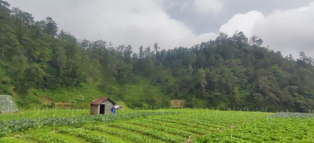 serene afternoon outdoor view of a farm on the mountain