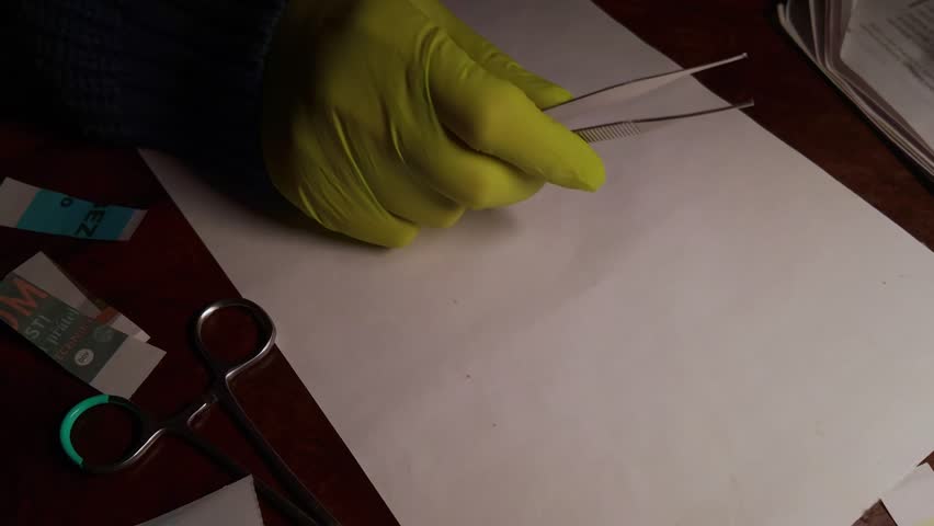 Shutterstock Video