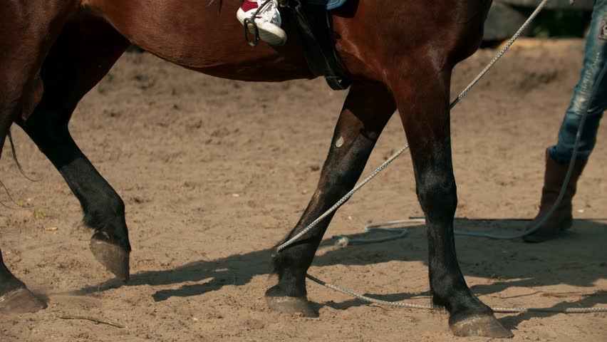 Horse training, practicing leg yielding on a rope