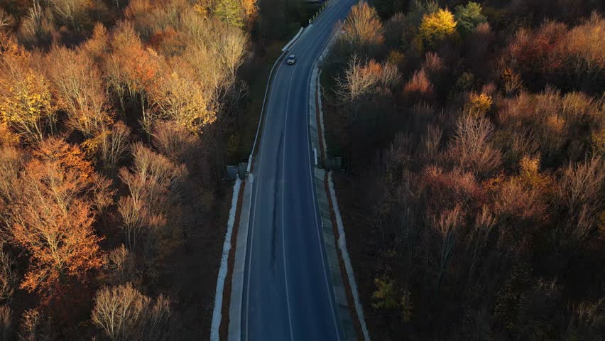 Warm sunlight flowing over dense forest during colorful seasonal foliage. Autumn aerial drone perspective