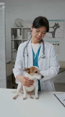 Vertical shot of cute jack russel dog looking around while sitting on medical table in front of female veterinarian in lab coat cuddling sick pet before check-up or treatment