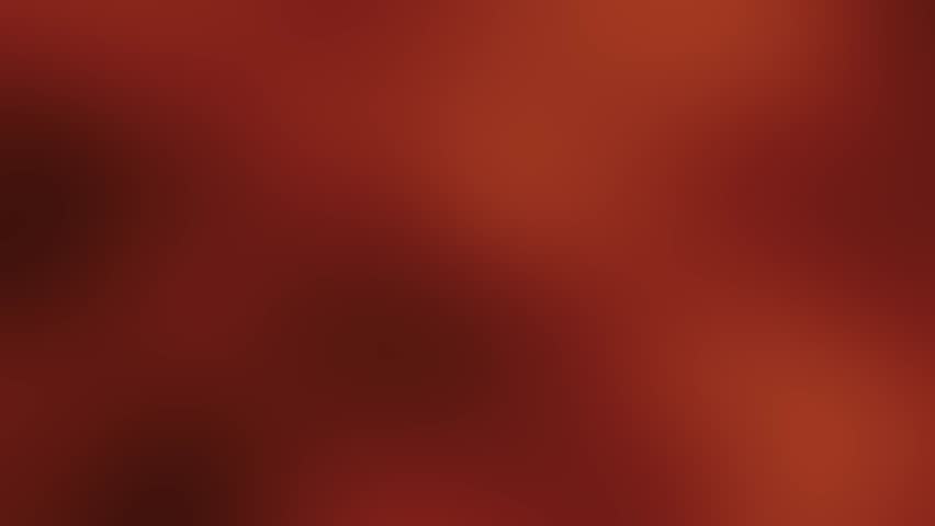 Shutterstock Video