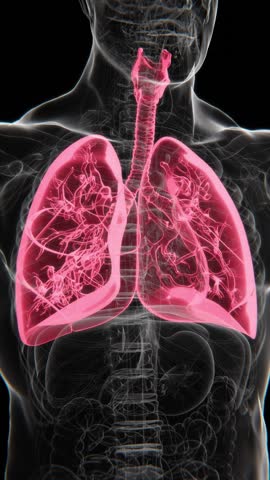 Good Lungs to Cancerous Lungs in Vertical HQ Video | Cancerous Lungs Indication X-Ray Video