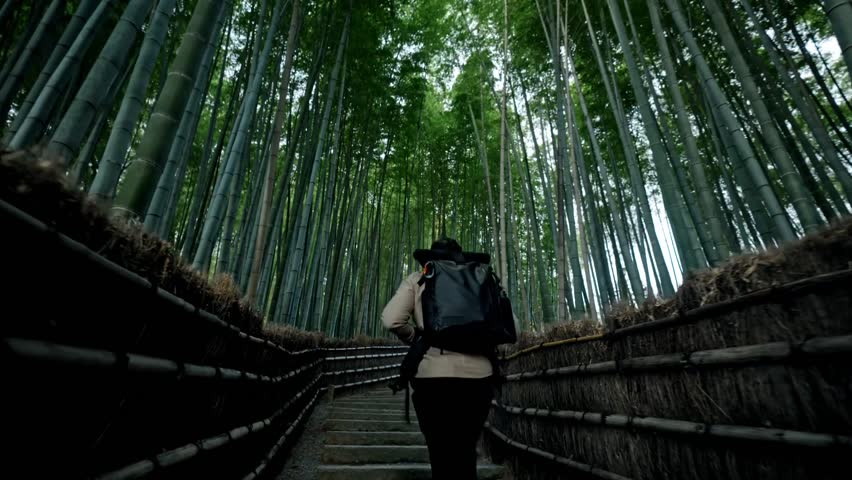 A lone traveler walks along the peaceful path of Arashiyama Bamboo Forest in Kyoto, Japan.