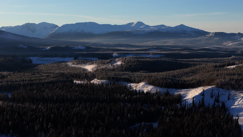 Spruce Forest Around Lake Laberge Near Whitehorse In Yukon Territory, Canada. drone shot