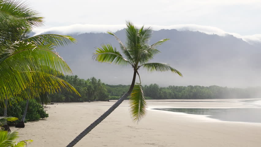Discover the stunning Uvita Beach nestled within Marino Ballena National Park, Costa Rica, where vibrant nature genuinely meets your ultimate dream paradise