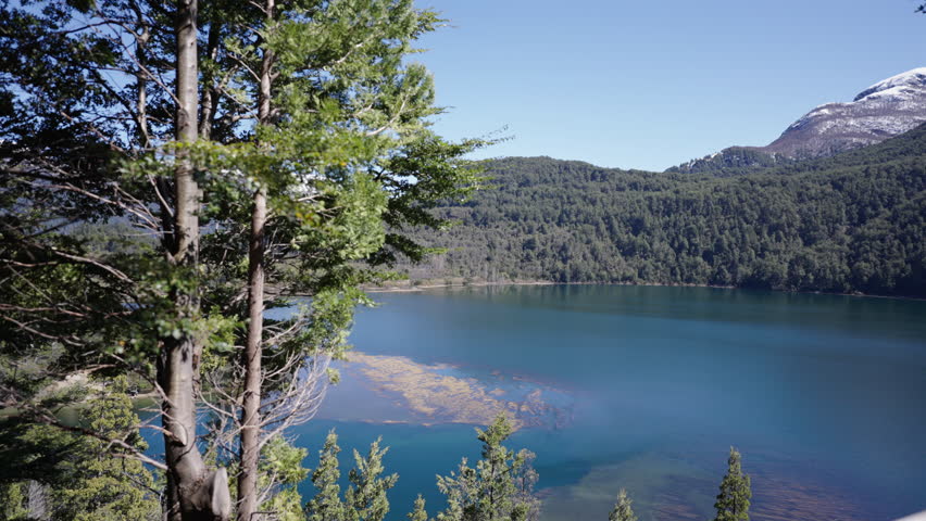 Fitzroya cupressoides trees framing a breathtaking view of Futalaufquen lake nestled amidst the Andes Mountains in Los Alerces National Park, a UNESCO World Heritage site in Patagonia, Argentina