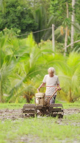 Old asian farmer working on land in rice paddy field, plowing or ploughing, power tiller or hand tractor, muddy farm, Bali, Indonesia, southeast asia