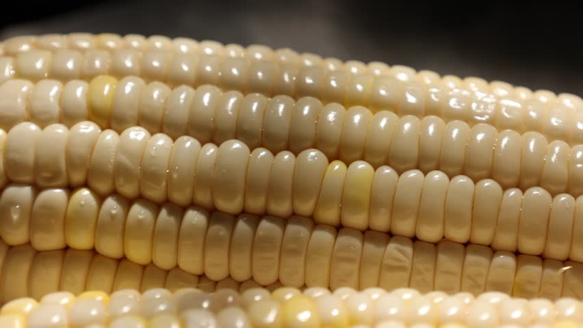 Closeup of a corn, yellow corn 