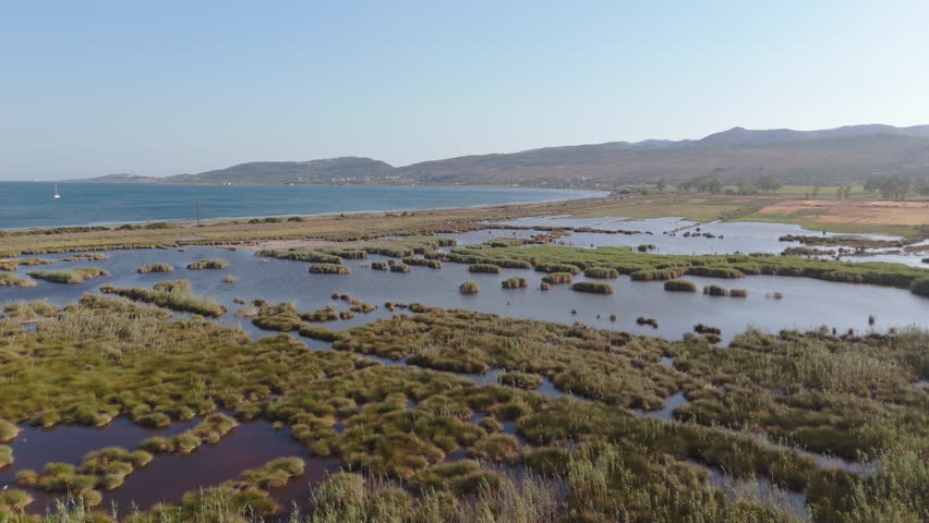 Expansive drone establishing of Livadi Marsh, Kefalonia, Greece, with shimmering water and lush vegetation