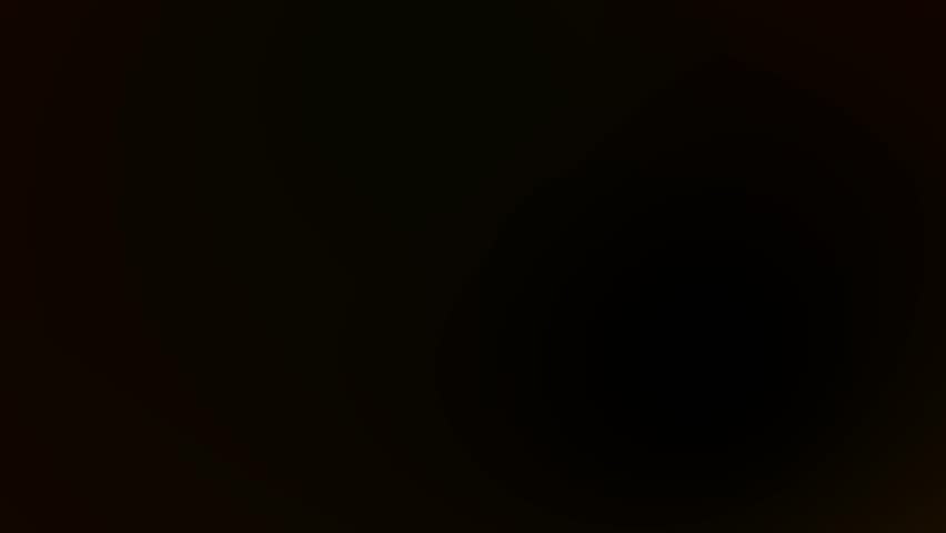 Shutterstock Video