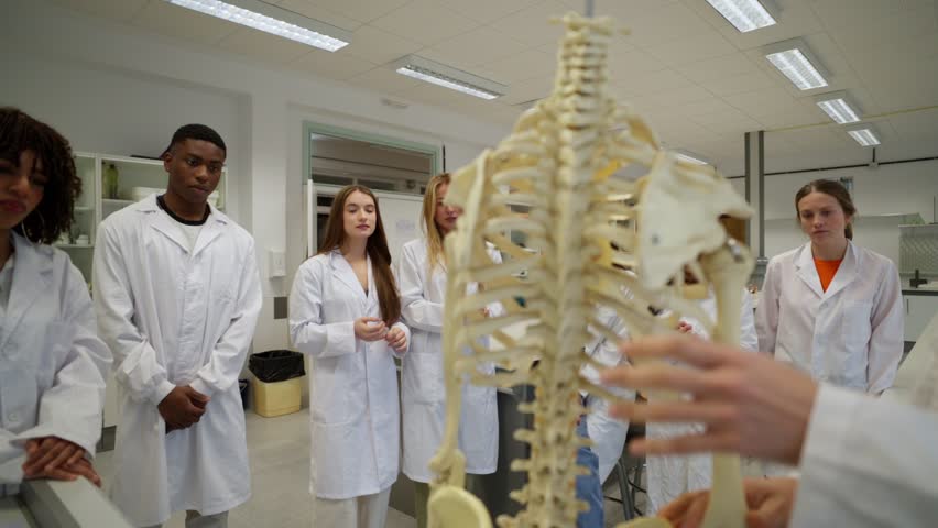Medical students studying human skeleton in anatomy class